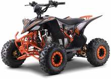 Elektriline ATV Ramiz Desert Storm Lift, oranž
