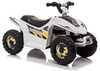 Elektriline laste ATV Lean Toys XMX612, valge