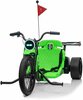 Laste elektrimootorratas Ramiz Drift Bike 21, roheline