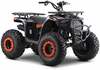 Elektriline ATV Ramiz 200CC Monster, oranž