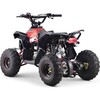 Bensiiniga laste ATV Ramiz Renegade HighPer 110CC, punane