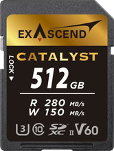 Mälukaart Exascend Catalyst EX512GSDV60, SDXC, UHS-II, V60, 512GB