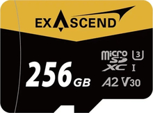 Mälukaart Exascend Catalyst EX256GUSDU1-AD microSDXC, UHS-I, CL10, 256GB