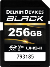 Mälukaart Delkin SD Black Rugged UHS-II, 256GB