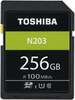 Mälukaart Toshiba Exceria R100 N203 SDXC, CL10, 256GB