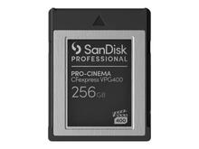 Mälukaart SanDisk Pro Cinema SDPCVN4-256G-GNANN, CFexpress, 256GB