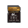 Mälukaart Exascend Catalyst EX64GSDU1, SDXC, UHS-I, CL10, 64GB