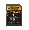 Mälukaart Exascend Catalyst EX1TSDU1, UHS-I, V30, 1TB