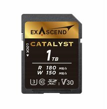 Mälukaart Exascend Catalyst EX1TSDU1, UHS-I, V30, 1TB