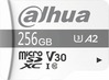 Mälukaart Dahua P100 MicroSD UHS-I, CL10, 256GB