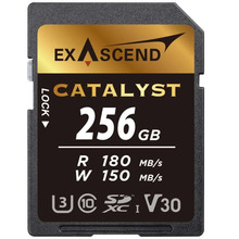 Mälukaart Exascend Catalyst EX256GSDU1, SDXC, UHS-I, CL10, 256GB
