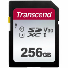 Mälukaart Transcend 300S TS256GSDC300S, SDXC, UHS-I, CL10, 256GB
