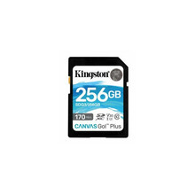 Mälukaart Kingston Canvas Go Plus SDG3, SDXC, UHS-I, CL10, 256GB