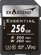 Mälukaart Exascend Essential UHS-II V90, 256GB