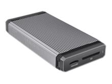 Kaardilugeja Sandisk Professional Pro-Reader SDPR5A8-0000-GBAND