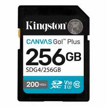 Mälukaart Kingston Canvas Go Plus SDG4, UHS-I, CL10, 256GB