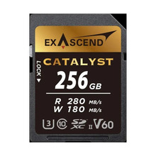 Mälukaart Exascend Catalyst UHS-II EX256GSDV60, SDXC, V60, 256GB