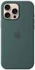 Telefoniümbris Apple Silicone Case with MagSafe, Apple iPhone 16 Pro Max, lake green