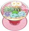 Telefonihoidja Popsockets 2 Bulbasaur Terrarium, litsentseeritud