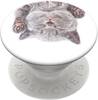 Telefonihoidja Popsockets Cat Nap Gen 2 ME-PS-A129, valge/hall, 3.5 - 6.5