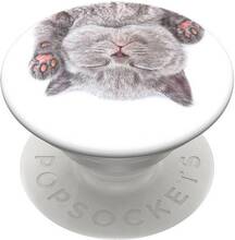 Telefonihoidja Popsockets Cat Nap Gen 2 ME-PS-A129, valge/hall, 3.5 - 6.5