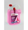 Talvine klaasipesuvedelik Lesta 2in1, -21 C, 4 L