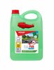 Suve klaasipesuvedelik Autoland Green Tea, 4 L