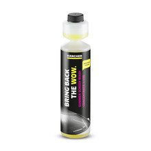 Suve klaasipesuvedeliku kontsentraat Karcher RM 672, 6.296-110.0, 0.25 L