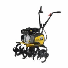 Mullafrees Texas Lilli 535TG