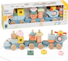 Puidust rong Classic World Montessori