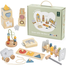Edukatiivsete mänguasjade komplekt Viga Box, 12-18 kuud