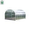 Kasvuhoone Klasika Arkinis, 3x10 m, 6 mm kate