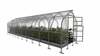Kasvuhoone Klasika Drop, 10x2.5 m, 6 mm kate