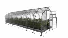 Kasvuhoone Meistro Kodas Klasika Drop, 10 x 2.5 m, 4 mm kate
