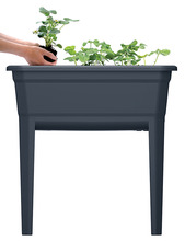 Mini kasvuhoone Prosperplast, must, 75 x 37 x 78 cm