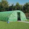 Kasvuhoone vidaXL terasraamiga, 10x5x2,3m, 50m2, roheline
