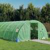 Kasvuhoone vidaXL terasraamiga, 10x4x2m, 40m2, roheline