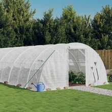 Kasvuhoone vidaXL terasraamiga, 12x4x2m, 48m2, valge