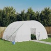 Kasvuhoone terasraamiga, 6x4x2,85m, 24m2, valge
