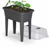 Mini kasvuhoone Prosperplast Respana IPE600-S433, must