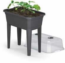 Mini kasvuhoone Prosperplast Respana IPE600-S433, must