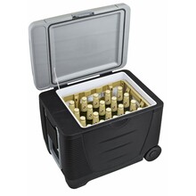 Autokülmik G21 C&W 45 liitrit, 12/230 V