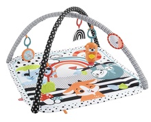 Tegelusmatt Fisher Price Infant Play Mat Tummy Time 3in1, 76 x 76 cm
