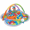 Muusikaline mängumatt PLAYGRO Clip Clop Activity Gym 0186991, 99 x 97.5 cm