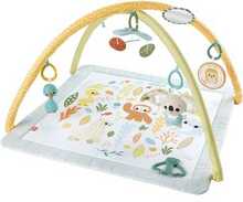 Tegevusmatt FISHER PRICE Simply Senses Newborn Gym HRB15, mitmevärviline