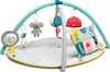 Arendav mängumatt Taf Toys All Around Me 226287