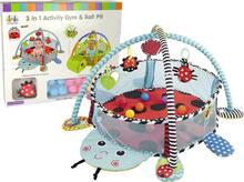 Tegevusmatt Lean Toys Activity Gym & Ball Pit 10006, 96 x 66 cm