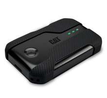 Cat Q10