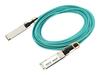 Cisco 25GBASE ACTIVE OPTICAL SFP28, 3 m