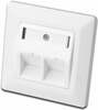 Seinapaneel Digitus DN-93801-1, Keystone moodulid, 2x RJ-45, valge, 50x50 mm keskplaat, 80x80 mm raam